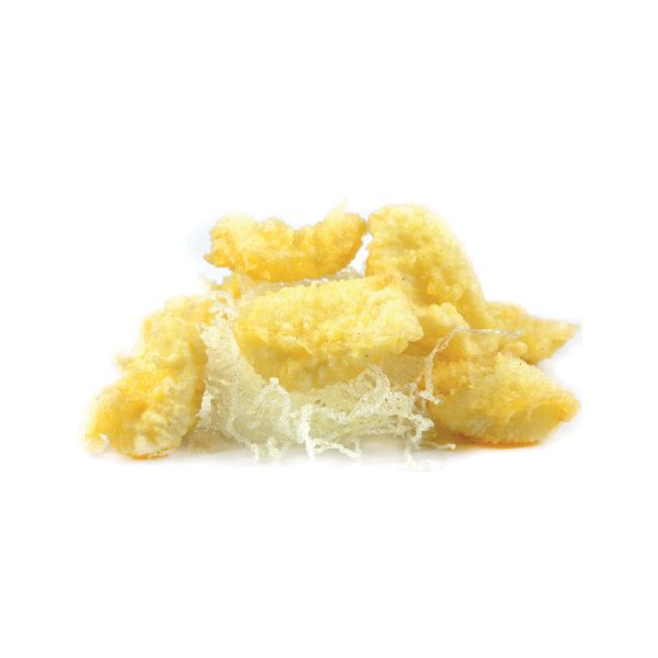 Ika Tempura